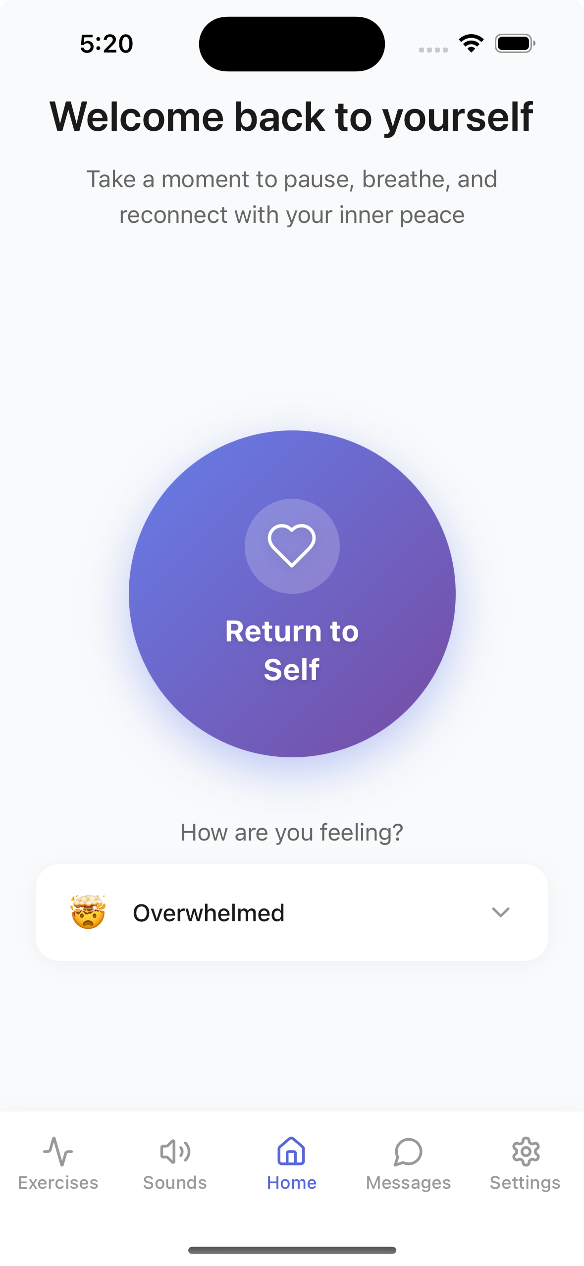 Return to Self App Preview